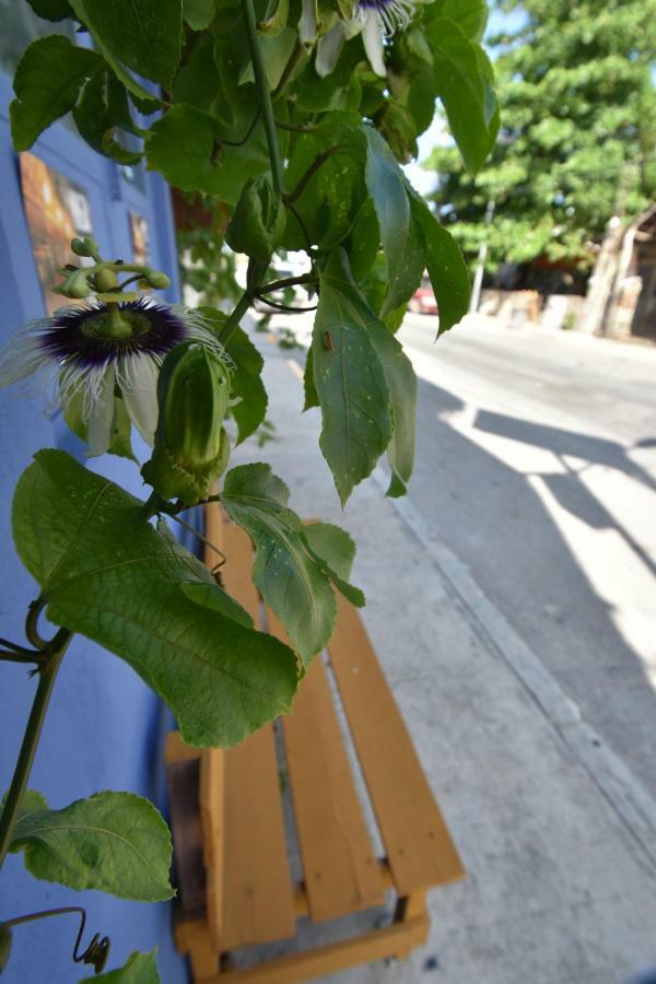 Casa Almendro Ξενοδοχείο Τουλούμ Εξωτερικό φωτογραφία
